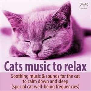 Cat Music to Relax - Soothing Music & Sounds for the Cat to Calm Down and Sleep - Music for Cats TA