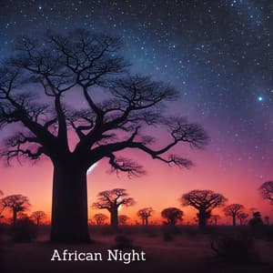 African Night - African Music Drums Collection
