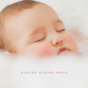Schlaf Kleine Maus - Baby Schlafmusik Akademie
