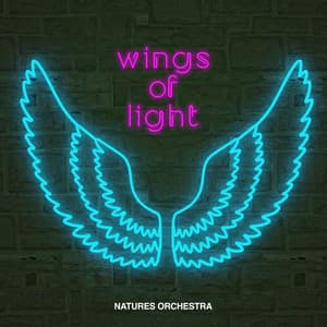 Wings of Light - Natures Orchestra