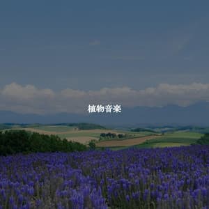 植物音楽 - Easy Listening Background Jazz