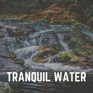 Tranquil Water - Babbling Brook