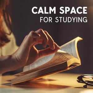 Calm Space for Studying - Exam Study Background Music Consort