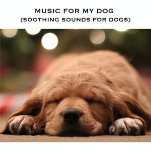 Music For My Dog - Serene Rose