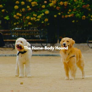 The Home-Body Hound - Sleeptime for Dogs