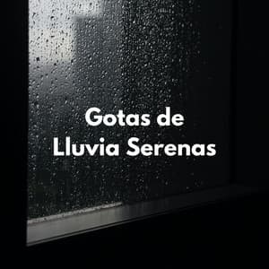 Gotas De Lluvia Serenas - Lluvia Sonidos Naturaleza Colección