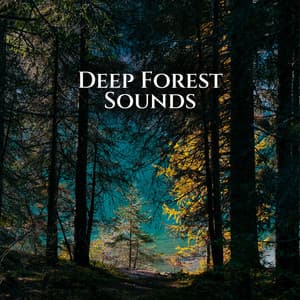 Deep Forest Sounds - Connection With The Inner Peace - Green Noise Dimension