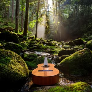 Armonía Suave De La Relajación: Sonidos Melódicos Relajantes - Los dioses y yo