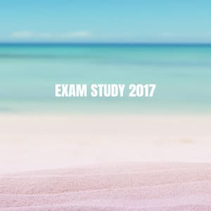 Exam Study 2017 - Musica Relajante