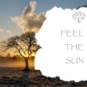 Feel the Sun - Natural Spirit