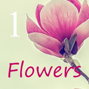 Flowers 1 - Healing Piano JAPAN