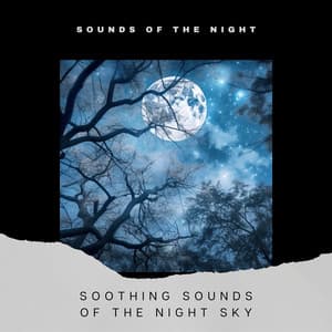 Soothing Sounds of the Night Sky - Sounds of the Night