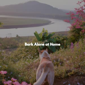 Bark Alone at Home - Jazz and Chill