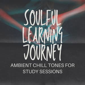 Soulful Learning Journey: Ambient Chill Tones for Study Sessions - Tranquil Journeys