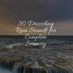50 Drizzling Rain Sounds for Complete Serenity - Thunder Storm