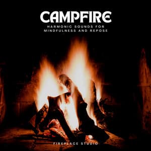 Campfire: Harmonic Sounds for Mindfulness and Repose - Fireplace Studio