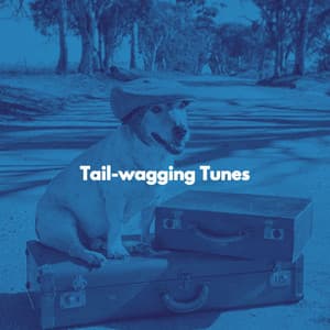 Tail-wagging Tunes - Dog Music Therapy