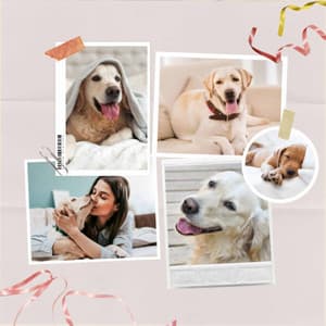 Bgm for Energetic Puppy - Good Dog Music