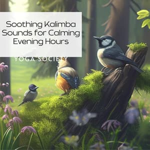 Soothing Kalimba Sounds for Calming Evening Hours - Yoga Society