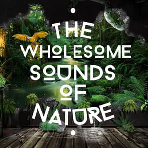 The Wholesome Sounds of Nature - The Ultimate Sounds of Nature