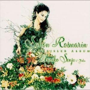 Schon Rosmarin The Kreisler Album - Mariko Senju