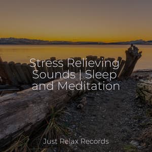 Stress Relieving Sounds | Sleep and Meditation - Meditación Guiada