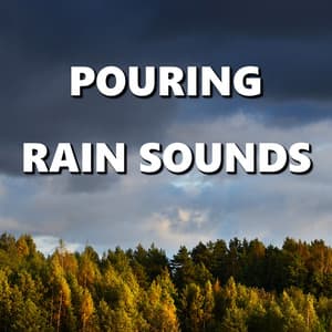 Pouring Rain Sounds - Wind and Rain Sounds
