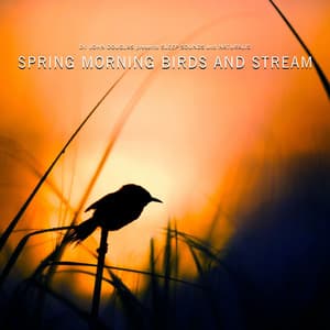 Spring Morning Birds and Stream - Dr. John Douglas