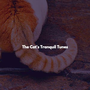 The Cat's Tranquil Tunes - Jazz Instrumental Lisboa