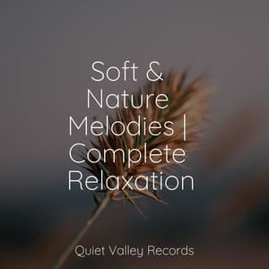 Soft & Nature Melodies | Complete Relaxation - Naturaleza Sonidos