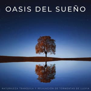 Oasis Del Sueño: Naturaleza Tranquila Y Relajación De Tormentas De Lluvia - Tormenta Jamaicana