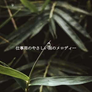 仕事用のやさしい雨のメロディー - Coffee Shop Music Deluxe