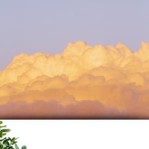 Sons et bruits de la nature : sérénade au coucher du soleil - Relajacion