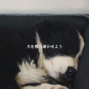 犬を落ち着かせよう - Sunday Morning Jazz Playlist