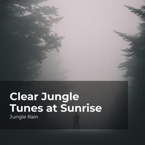 Clear Jungle Tunes at Sunrise - Jungle Rain