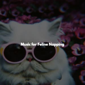 Music for Feline Napping - Jazz for Working Playlists