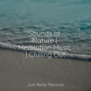 Sounds of Nature | Meditation Music | Chilling Out - Musica para Meditar