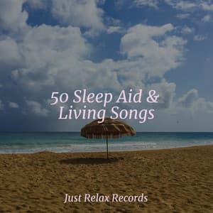 50 Sleep Aid & Living Songs - Japanese Relaxation and Meditation