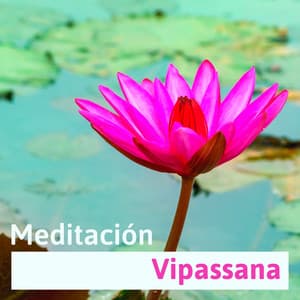 Meditación Vipassana - Ambiente de Yoga y Relajación, Retiros de Meditación - Musica Relajante Voyage