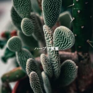 ハーブで興奮 - Essential Dinner Party Background Music