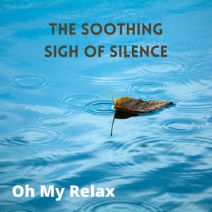 The Soothing Sigh of Silence - Oh My Relax