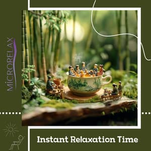 Instant Relaxation Time - Microrelax