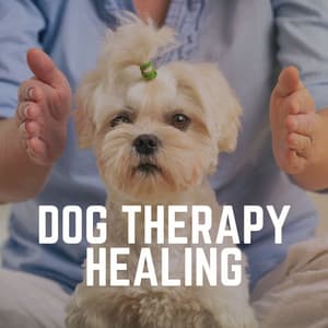 Dog Therapy Healing - Dog Music Therapy