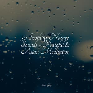 50 Soothing Nature Sounds - Peaceful & Asian Meditation - Soothing White Noise for Infant Sleeping and Massage