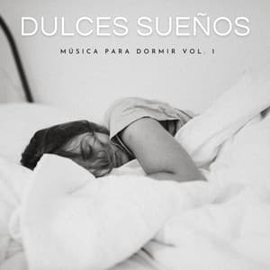 Dulces Sueños: Música Para Dormir Vol. 1 - Musica Para Dormir Bebes