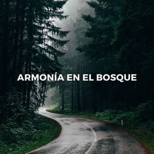 Armonía En El Bosque: El Viaje Meditativo De La Calma De La Naturaleza - Medicina Espiritual