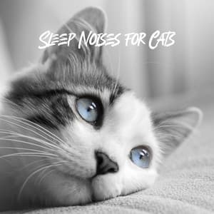 Velvet Hours Noises for Cats - Nikitovich