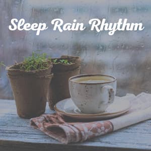 Sleep Rain Rhythm - Rain Drops for Sleep