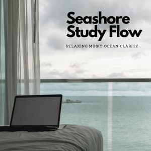 Seashore Study Flow: Relaxing Music Ocean Clarity - The Relaxation Hub