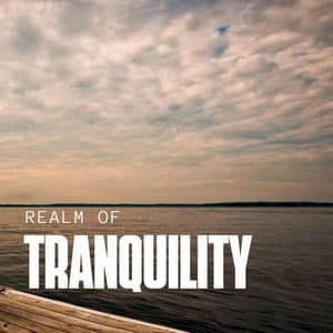 Realm of Tranquility - Quiet Meditation Music